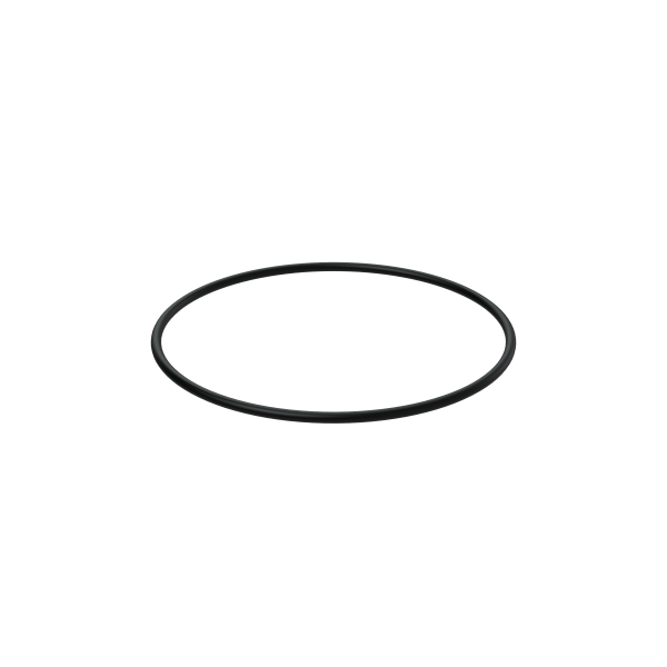O-Ring 925093